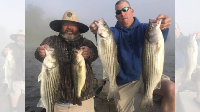 Wateree River stripers