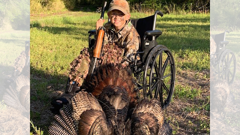 radio-collared gobbler