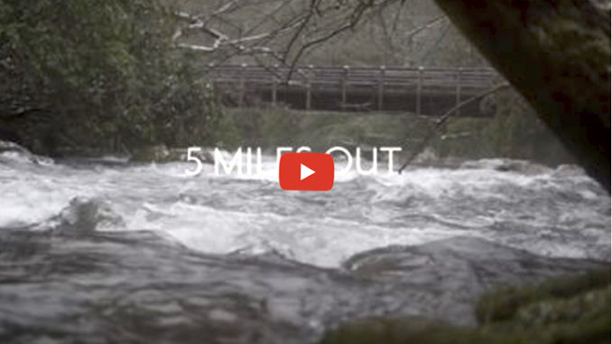 Hazel Creek trout fishing
