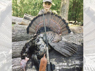 three-bearded gobbler