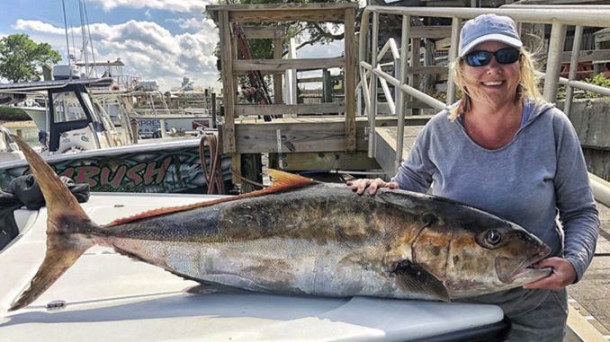 South Carolina coastal fishing report