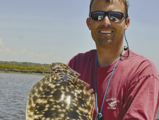 flounder
