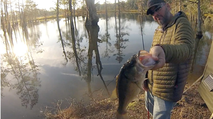 pond fishing