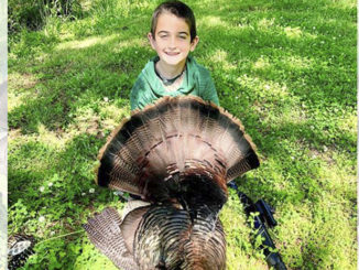 gobbler