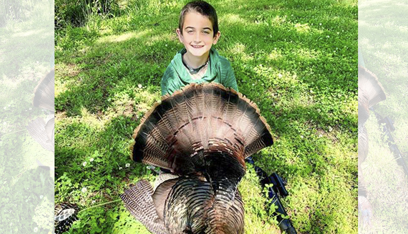 gobbler