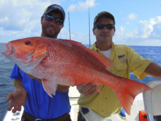 red snapper
