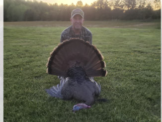 turkey hunt