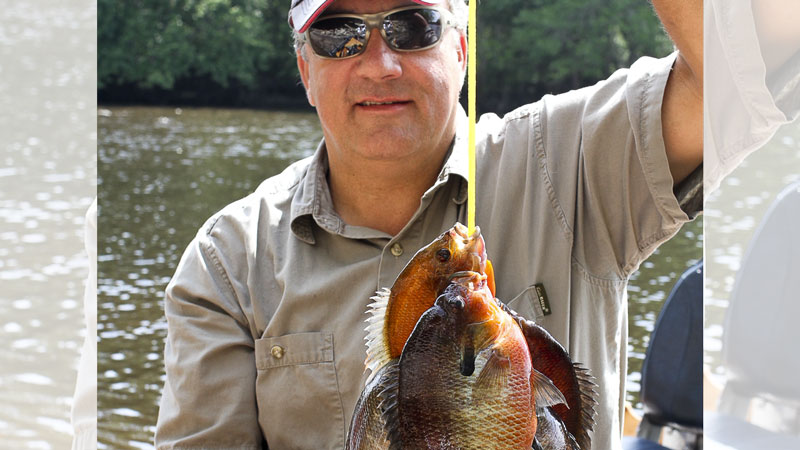 It's redbreast sunfish time in the Carolinas - Carolina Sportsman