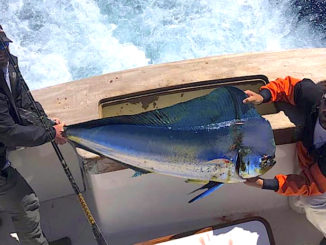 North Carolina fishing report