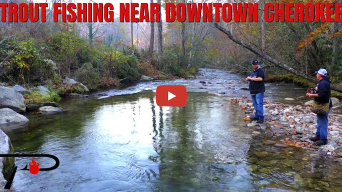 Cherokee trout fishing