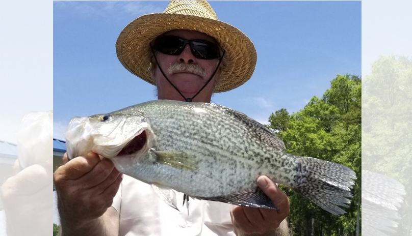 Kerr Lake crappie