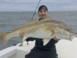 Hatteras redfish