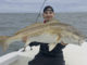 Hatteras redfish