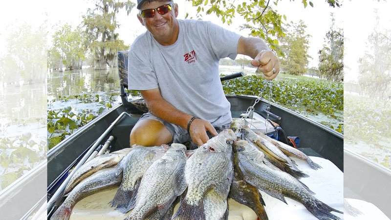 crappie