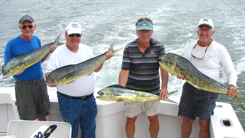 mahi