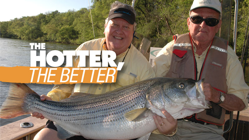Clarks Hill stripers