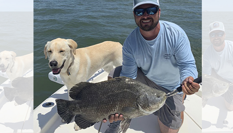 tripletail
