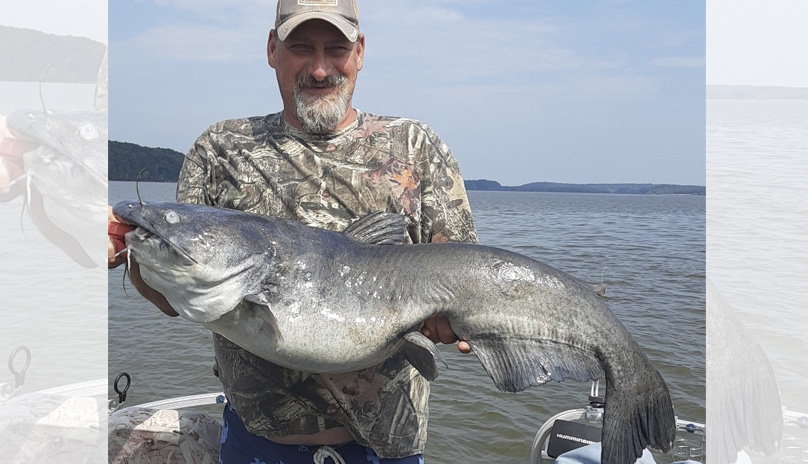 Kerr Lake catfish