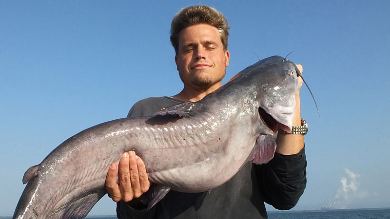 August fishing