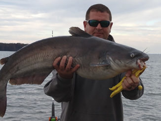 myth about catfish baits