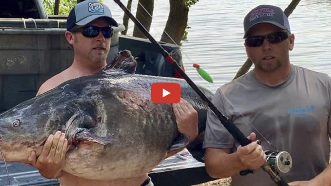 state record catfish
