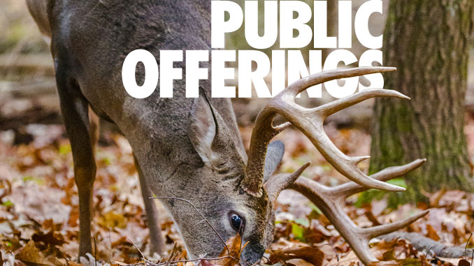 public offerings