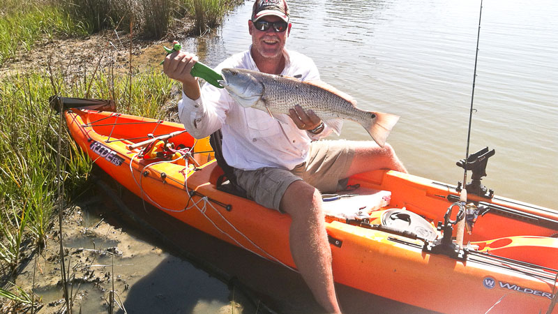 tailing redfish