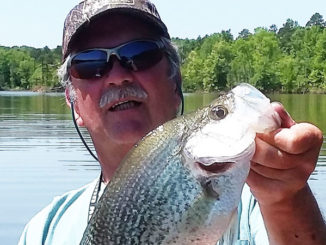 Kerr Lake crappie