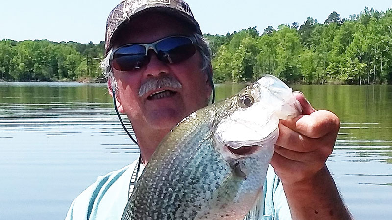 Kerr Lake crappie