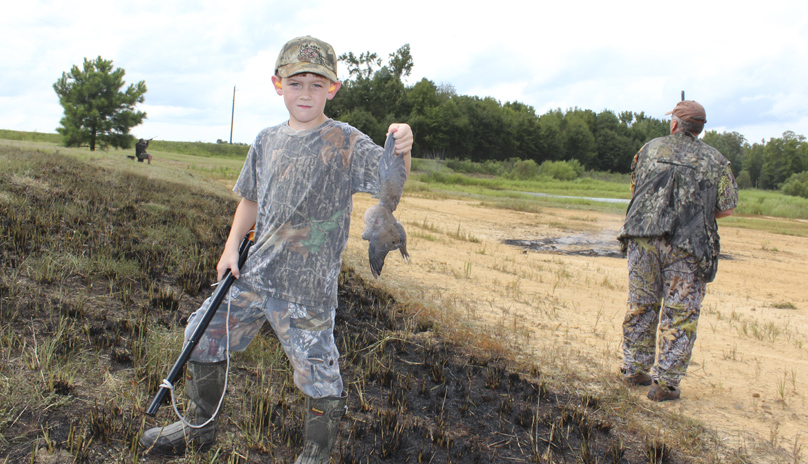 public dove fields