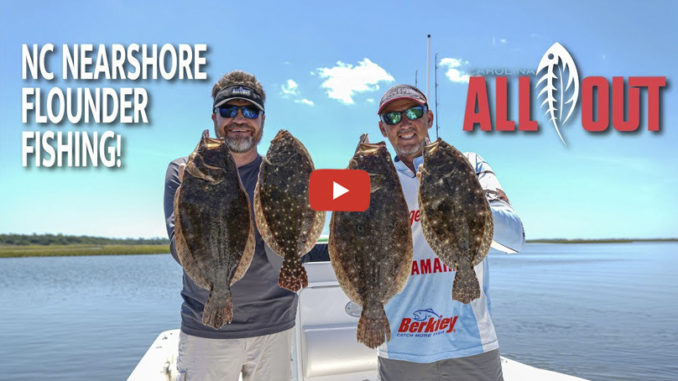 flounder