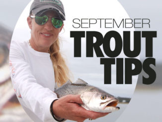 trout