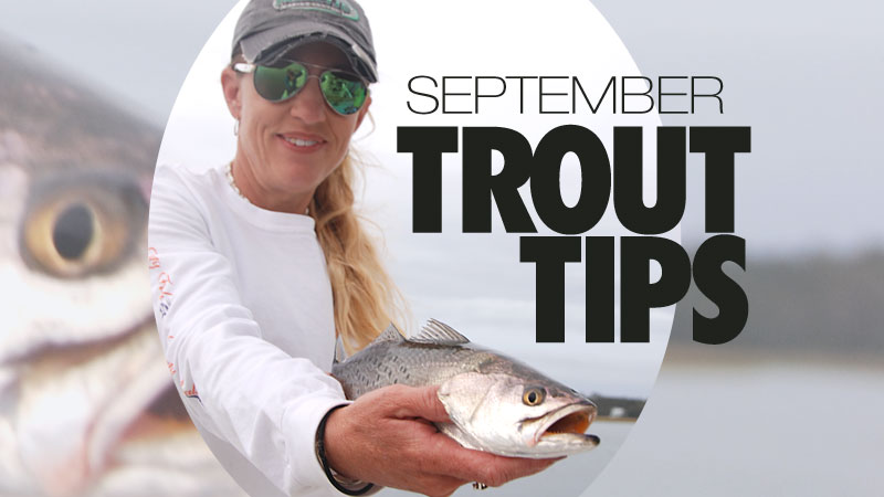 trout