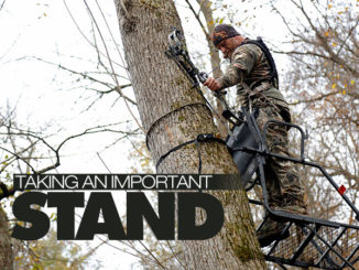 tree stand