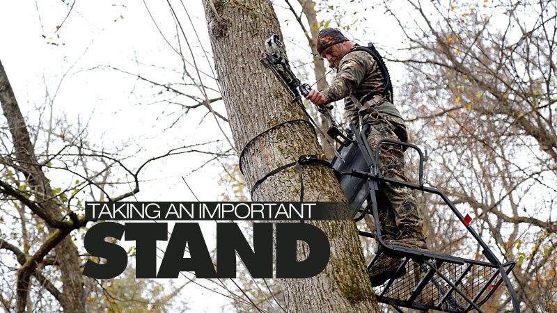 tree stand
