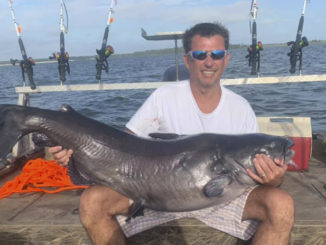 84-pound catfish