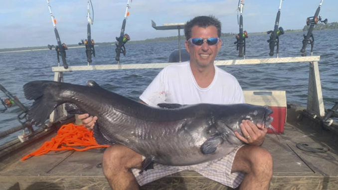 84-pound catfish
