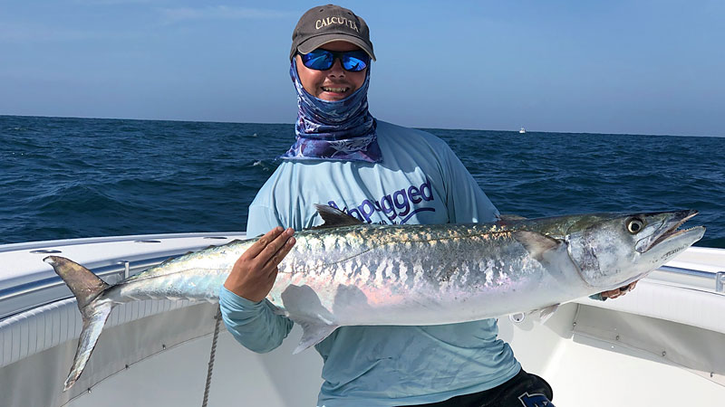 king mackerel