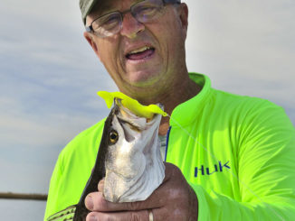 speckled trout