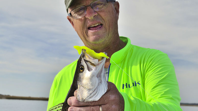 speckled trout
