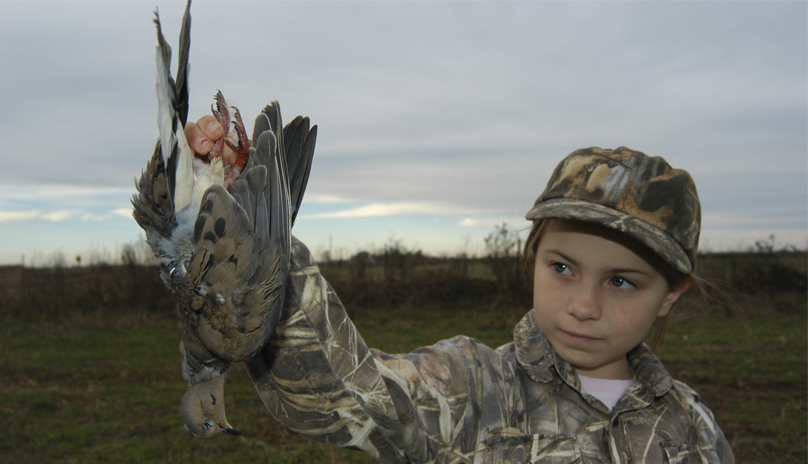 youth-only dove hunt