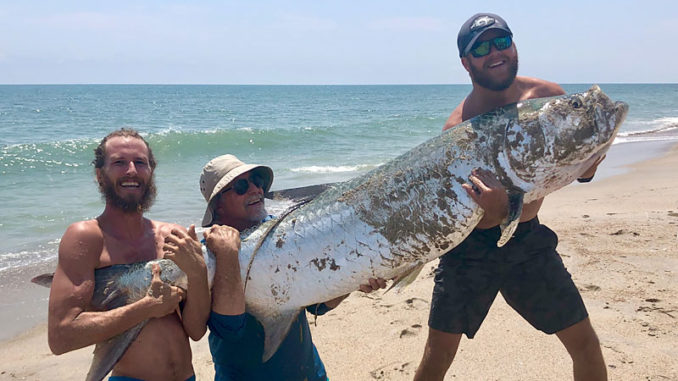 Shark-fishing family beaches a surprise: Huge tarpon - Carolina