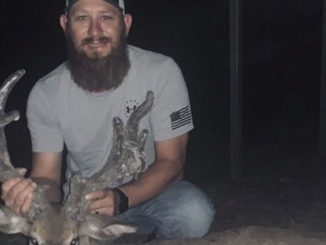 14-point nontypical buck
