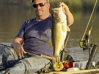 fall bass