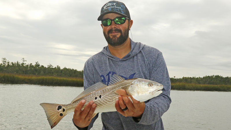 redfish