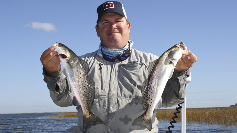 trout