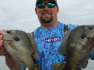 bream