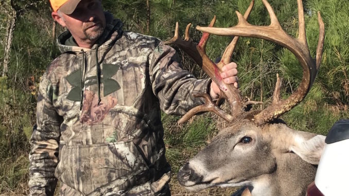 17-point buck