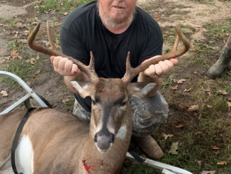 7-point buck