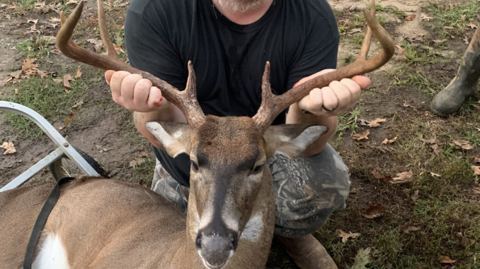 7-point buck